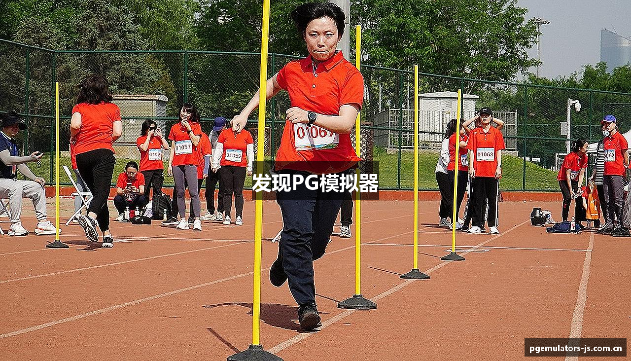 发现PG模拟器